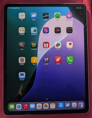 Apple iPad Pro 12,9'' - 4.Gen 2020 -256 GB WIFI -spacegrey - gebraucht
