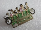 Vintage Pin's Advertising Collector Pins Insurance GROUPAMA Lot PF031