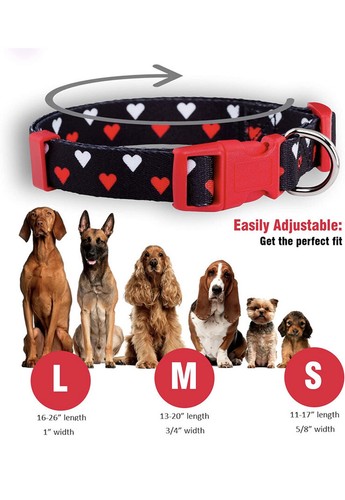 native pup valentines day dog collar large new with tags - Picture 6 of 8