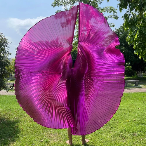 Transparent Belly Dance Wings Stage Performance Dancing Props - Picture 39 of 42