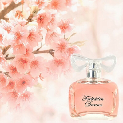 Forbidden Dreams Paris Eau de Parfum Damen Duft Frauenparfum Yves de Sistelle