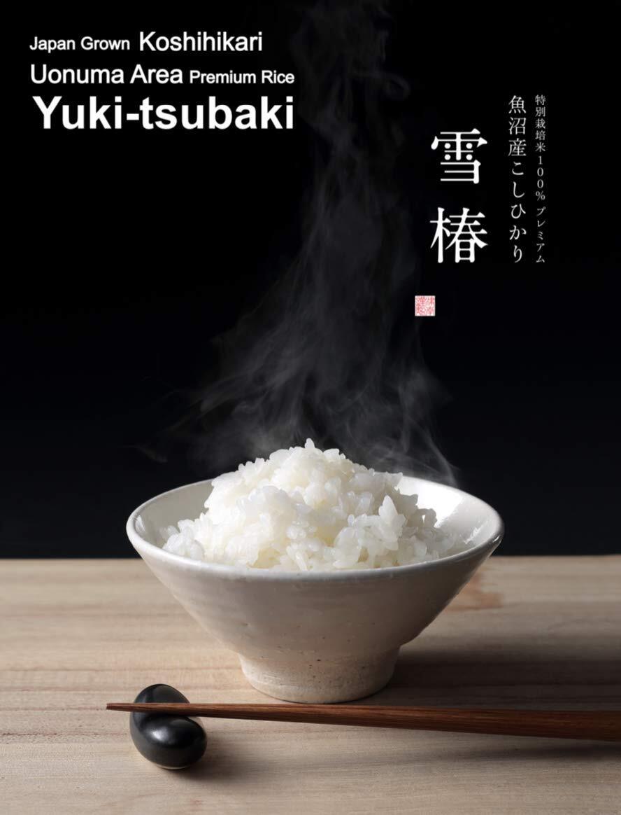 Buy 11 Pound Ultra Premium Koshihikari Rice Yuki Tsubaki Imported