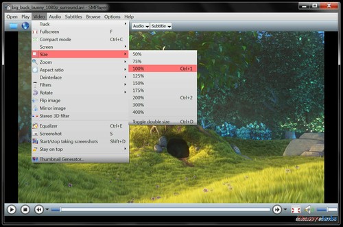 NEW & Fast Ship! SMPlayer Media Player - Any Video DVD / Music / Audio - Linux - Picture 4 of 12