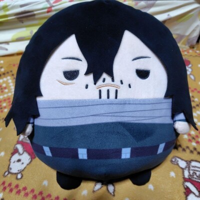 My Hero Academia Shota Aizawa My Fuwakororin BIG & M-size Plush