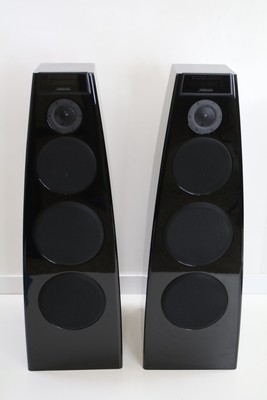 Pair Meridian DSP7200 Floor Standing 