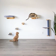 Cat Wall Shelves – Cat Wall Climber with Scratching Post, Removable Bed, Clim...