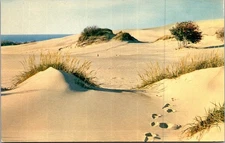 Vintage Michigan Silver Lake Sand Dunes Postcard by Avery Color