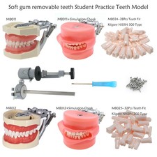 Kilgore Nissin 200/500 Dental Typodont Model With Removable Teeth Mounting Pole