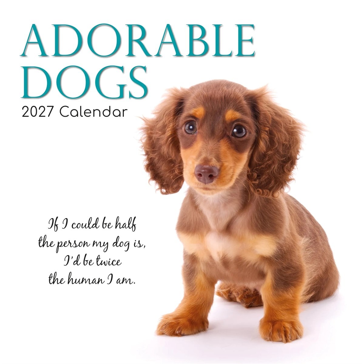 Light Adorable Dogs Calendar 2027, Wall Calendars, Month To View, Dogs, Gift - Image 2