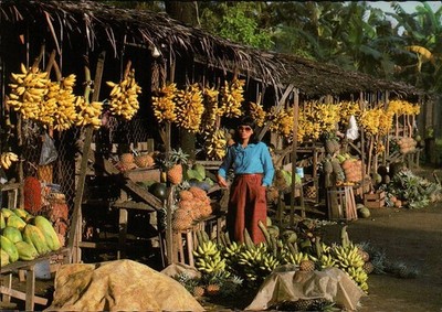 Philippine Woman and Town of Sariqang Fruit Stand Vintage Cont Postcard UNP