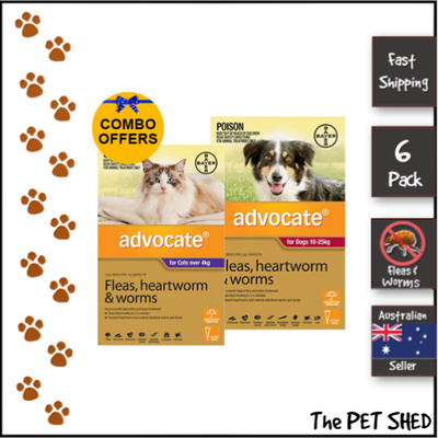 advocate purple for cats