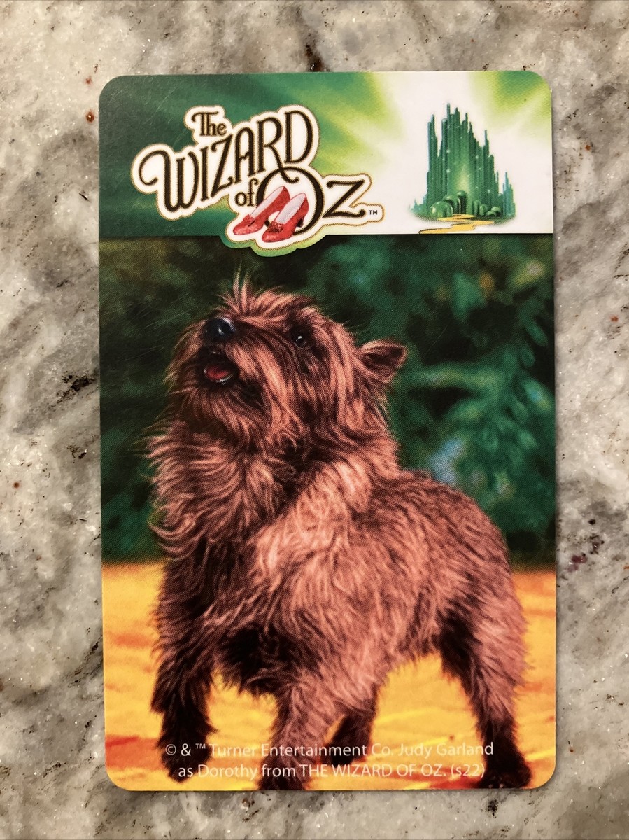 Arcade RARE Toto Wizard of Oz Arcade Coin Pusher Card 007 CSE Barcoded