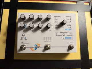 Hologram Electronics Microcosm Effects Pedal [USED] Granular Effects / Looper