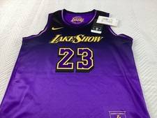 Lebron James Jersey Boys M Purple Los Angeles Lakers City Edition Swingman Tags