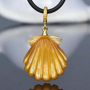 Mother of Pearl Shell | eBay