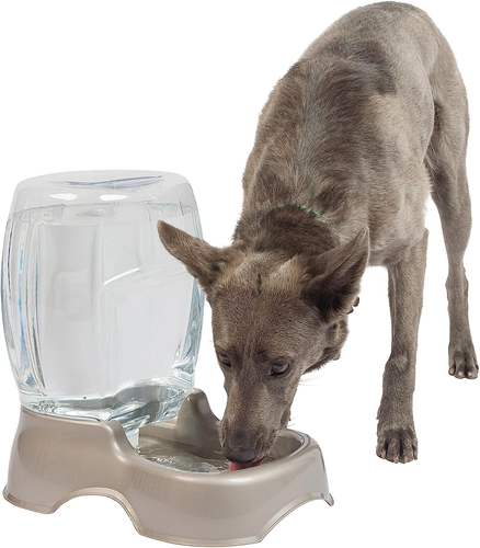 Petmate Pet Cafe Waterer Cat and Dog Water Dispenser 4 Sizes, 3 GAL, Pearl Tan,