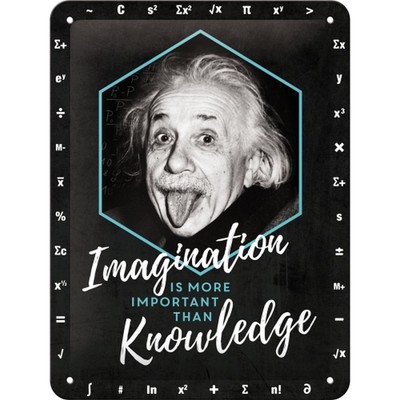 tin sign, metal sign, decorative sign 6 x 8 in - Einstein