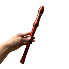 Schneider Sonata Flute Recorder Made In Germany 