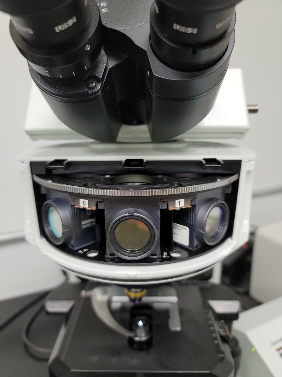 Olympus Microscope BX63 Fluorescence for FISH | eBay