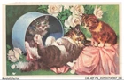 CAR-AEFP16-0767-CAT - Kittens And Flowers