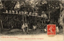 CPA Landes chasseurs de