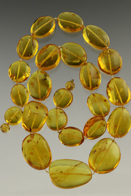 Large Bean Beads w FOSSIL INSECTS Genuine BALTIC AMBER Necklace 106.1g 180820-3