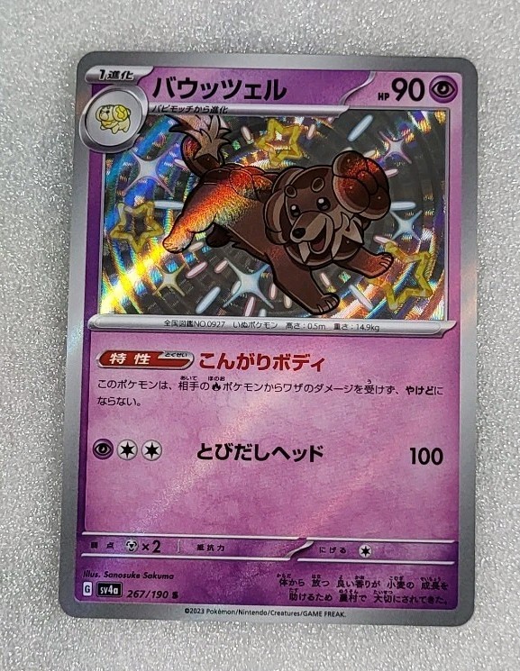 Dachsbun 267/190 NM/M Shiny Treasure ex SV4a Japanese Shiny Pokemon TCG