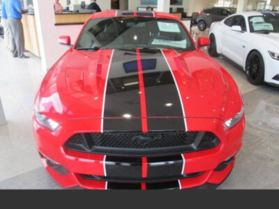 10'' Twin 2 color Rally Racing Stripe Graphics Stripes Set FIT 05 - 2014 Mustang