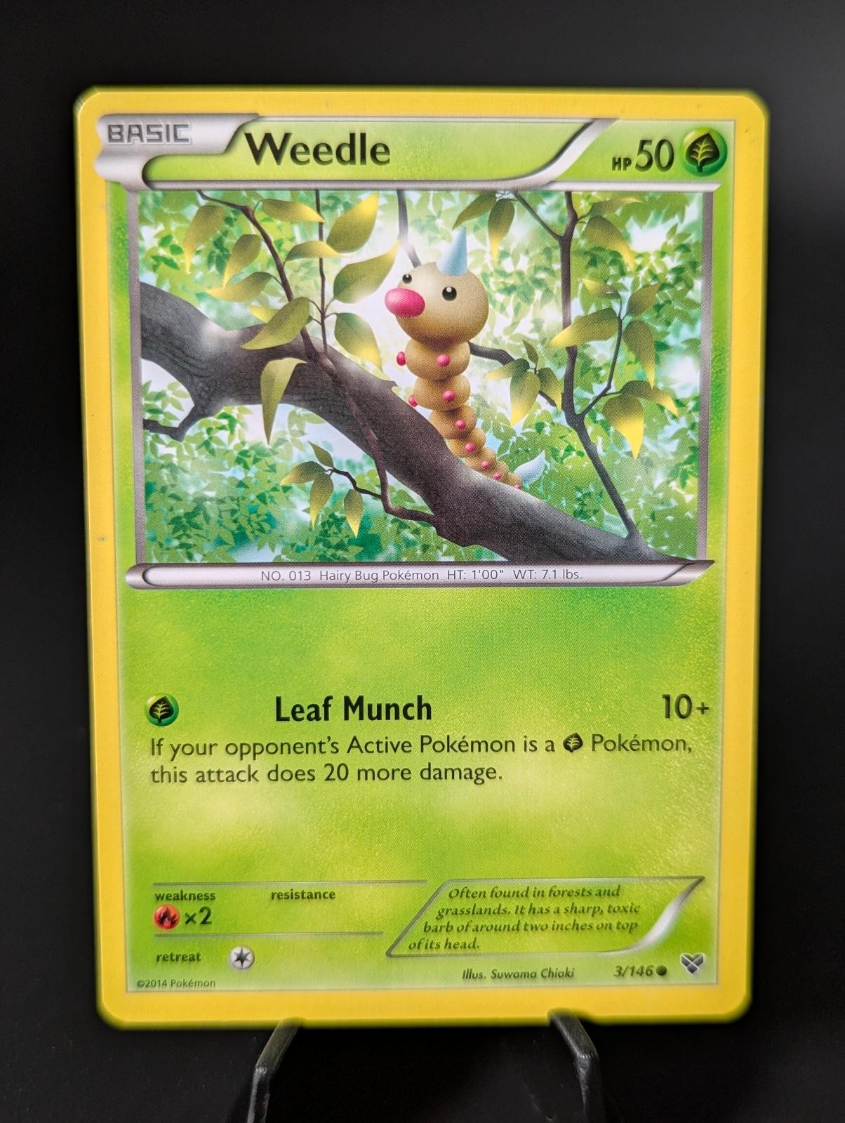 Weedle 3/146 Common XY Base Set Pokemon Lightly Played