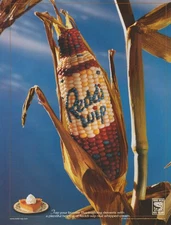 1998 Reddi-Wip Whipped Cream - Autumn Corn On Cob, Pumpkin Pie - Print Ad Photo