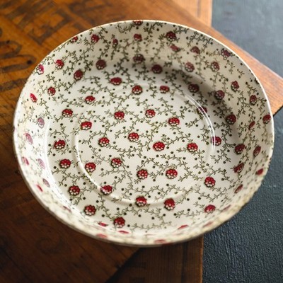 DEEP 6'' Saucer EF Bodley & Son Pompadour Chintzware Transfer Aesthetic 1881-1889