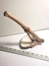 Native American Indian Digging Tool