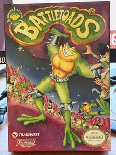 Battletoads NES Box and Manual Only Authentic 1991 Tradewest Rare OEM No Game