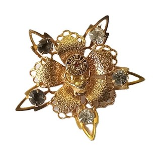 LADIES ELKS LODGE PIN Five white stones NO RESERVE!