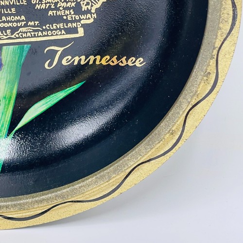 Tennessee State Vintage Metall Souvenir Werbung Servierschale 10,5" Iris - Bild 6 von 10