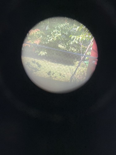 Zrak Jugoslawisches Militär Fernglas 6x30 mit Etui - Bild 17 von 23
