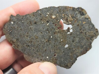 NWA 13788 (34.55g) Meteorite, Lunar Melt Breccia Polished End Cut