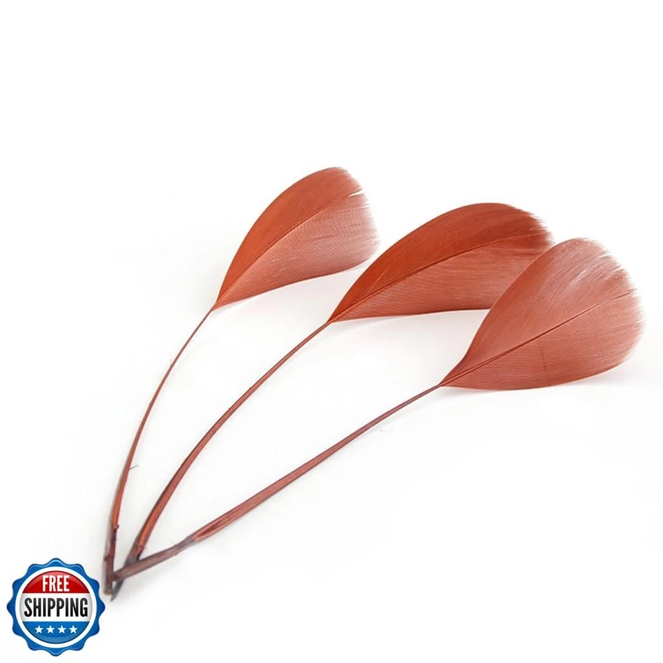 Shekyeon Goose Feather Plume Stripped Coque Feather for Clothing Hat Craft De - Image 2 of 4