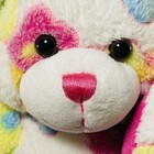 Bild 6 von 12