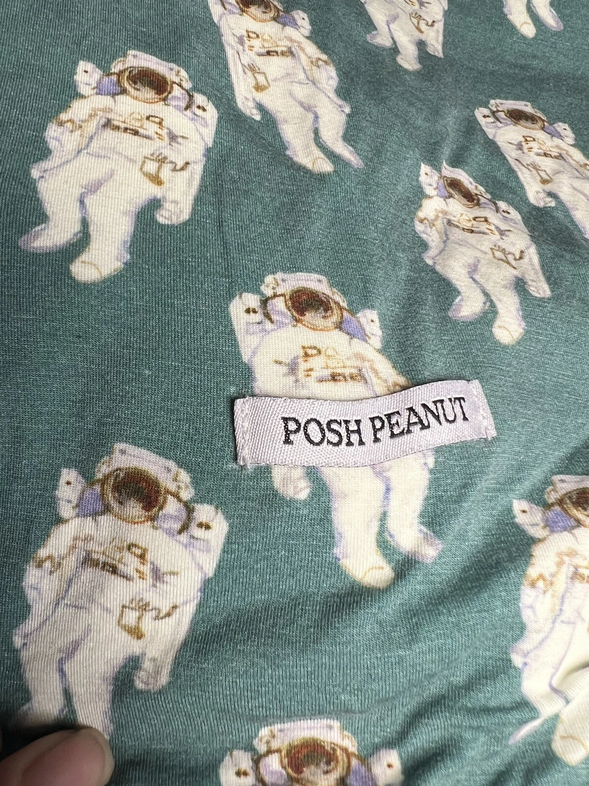 Posh Peanuts bamboo hooded towel astronaut 30"x36"