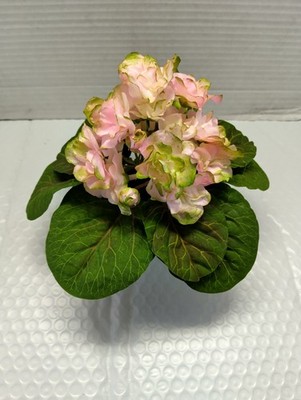 ARTIFICIAL 8'' Miniature African Violet - Pink With Green Edge