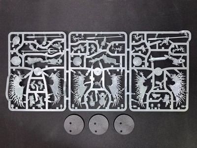 Prosecutors - Stormcast Eternals - Age of Sigmar - New On Sprue