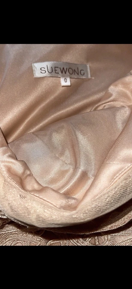 SUE WONG Soutache 蕾丝连衣裙 Anthropologie Jenny Yoo Tadashi Shoji 0 BHLDN 裸体 — 第 3/4 张图片