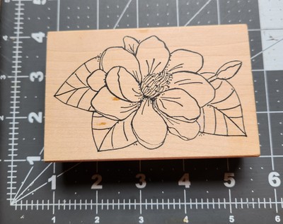 Lg sketch Flower leaves buds Rubber Stamp Raindrops on Roses New Comb ship B15