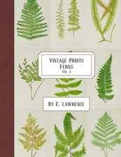 Vintage Prints: Ferns: Vol  3