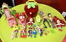 Strawberry Shortcake Dolls, Furniture, Figures  Accessories