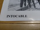 Foto 12 di 13