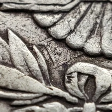 1891-O $1 Morgan Silver Dollar - VAM-1A1 Clashed E Obverse Top-100 - SKU-D6485