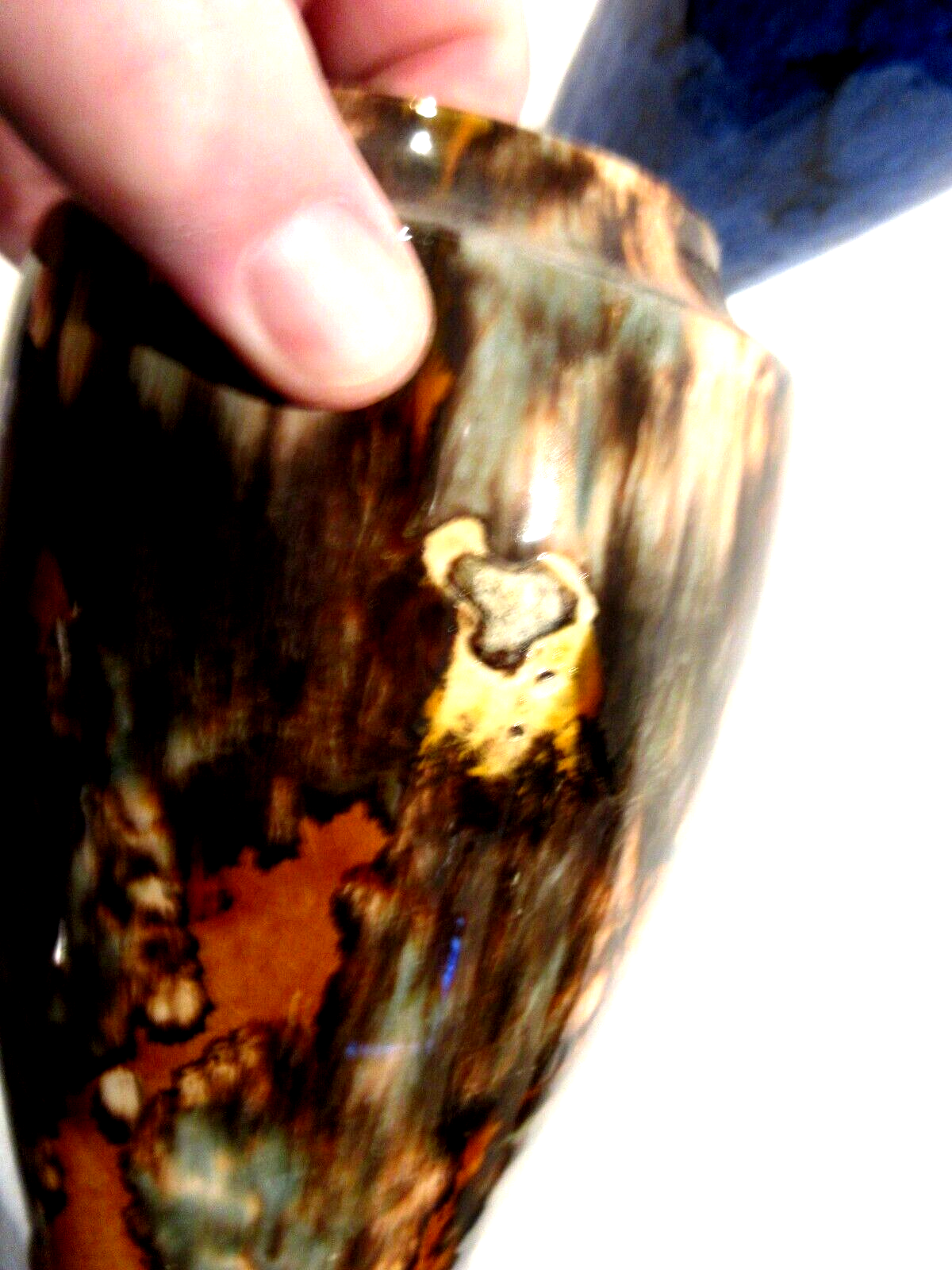 Bild 4 von 5