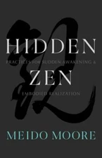 Hidden Zen: Practices for Sudden Awakening and Embodied Realization, Moore, Meid